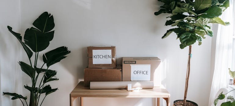several boxes on the table
