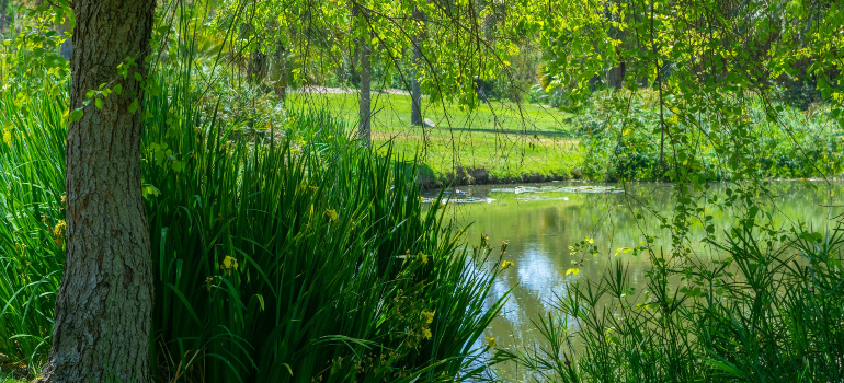 a stunning park that represents one of the benefits of living in Fullerton CA