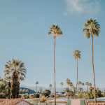 a house in Dana Point